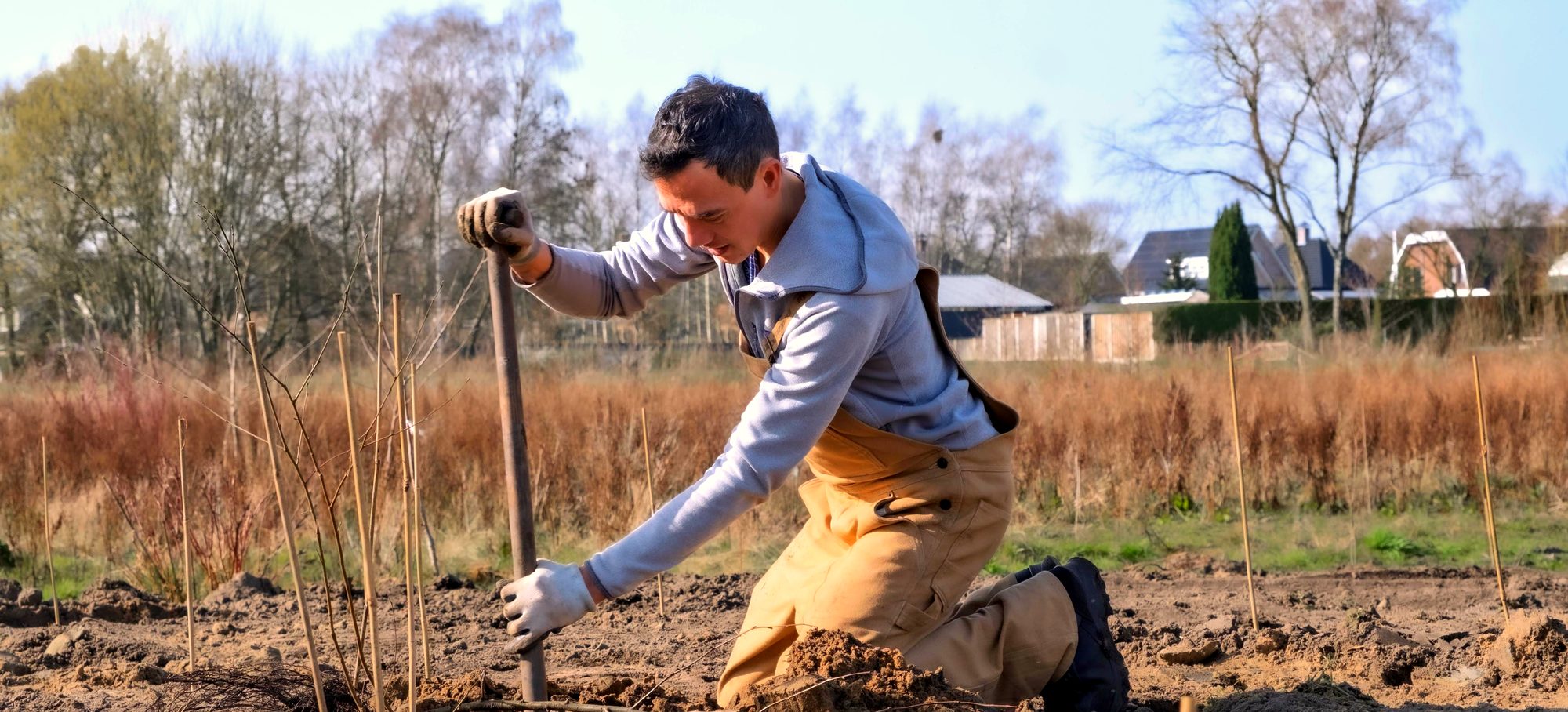 Martijn knielt in de aarde en plant jonge bomen op een akker in het vroege voorjaar.